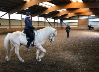 Herbsttraining des Sportkaders