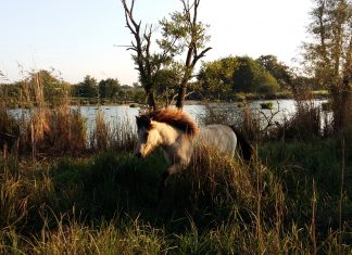 JHV 2022 – Ressortberichte