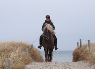 „NORD reitet aus“ – eine Initiative für euch alle!