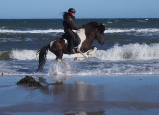 Geschäftsstelle geht in die Sommerferien!