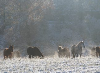 Offenes Jugendtraining abgesagt