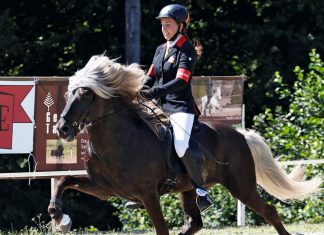 Frauke Schenzel führt im Fünfgangpreis – Leonie Hoppe beste Juniorin!