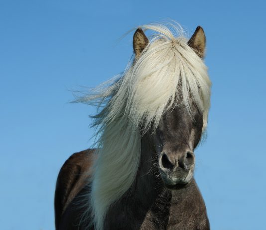 Der Sportkader blickt auf Spitzen-Training mit Britta Rasche zurück