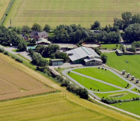 Sport – Vereinsmeisterschaft im September ausgebucht!