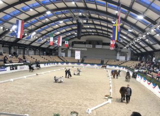 We proudly present – Die Teilnehmer ISIBLESS INDOORS powered by Equsana