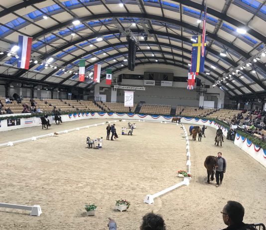 We proudly present – Die Teilnehmer ISIBLESS INDOORS powered by Equsana
