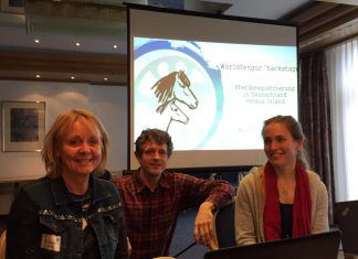 Worldfengur „backstage“ – wir fanden es klasse!