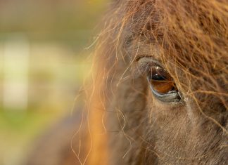 Bitte sendet uns eure Mailadressen!