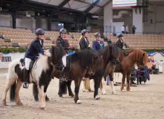 1. Tag ISIBLESS Indoors – schön war`s