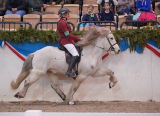 ISIBLESS Indoors Fünfgangprüfung powered by Equsana startet