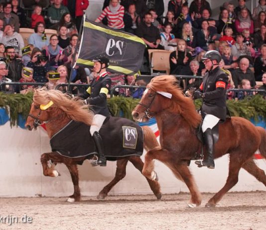 T3 Finale und Auftritt der IPZV Nord Showgruppe vor voll besetzten Rängen in der Holstenhalle