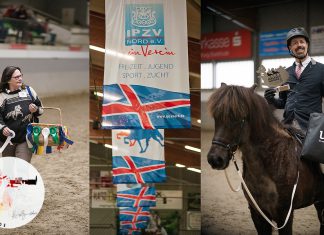 Die Norddeutsche Hengstparade läuft mit den letzten Finals – schön ist es in Luhmühlen!