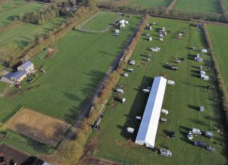Die ersten Turniere sind in Planung, danke Gestüt Godemoor und Gestüt Heesberg!