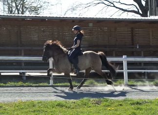 Jugend – Leistungskadertraining auf Störtal