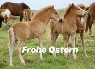 FROHE OSTERN