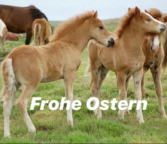 FROHE OSTERN