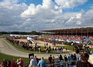 Nur noch wenige Wochen, dann beginnt die WM in Berlin! Hotel oder Camping?