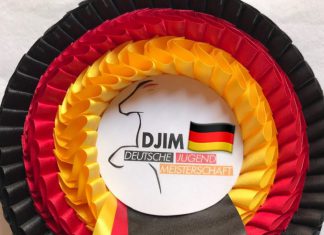 Deutsche – Jugend – Islandpferde – Meisterschaft – DJIM 2019