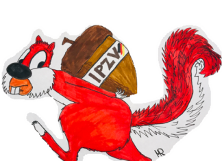 MÜHSAM ERNÄHRT SICH DAS EICHHÖRNCHEN