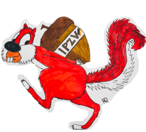 MÜHSAM ERNÄHRT SICH DAS EICHHÖRNCHEN