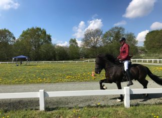 Gute Stimmung – tolle Ritte – Hengste Nord