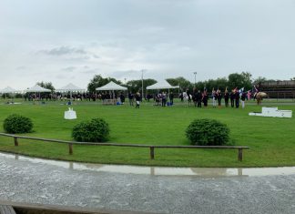 Eichenhof zum dritten – der Tölttag