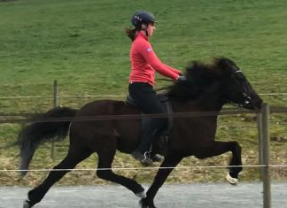 Elisa Schröder – neues Mitglied im Sportleistungskader