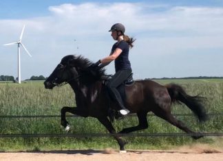 Gaedingakeppni Training mit Holmgeir Jonsson- kurzfristig noch 3 Plätze frei!