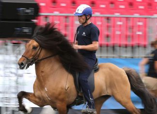 Neues von der WM in Berlin: Den Teilnehmern beim Abreiten zusehen – diesmal geht das!