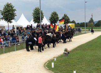 DIM 2019 – das war ein erfolgreicher Finaltag!