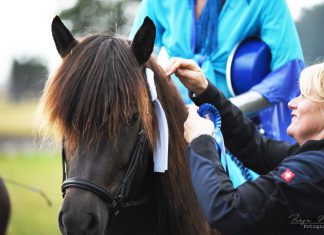 Wohlige Atmosphäre beim Seniorenturnier auf Norderheide