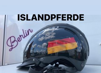 WM in Berlin – GO!