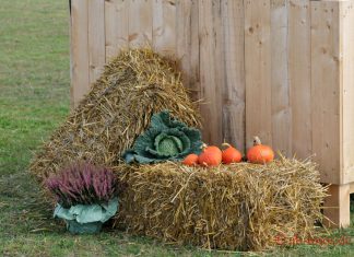 Urlaubszeit – Geschäftsstelle diese Woche nicht besetzt