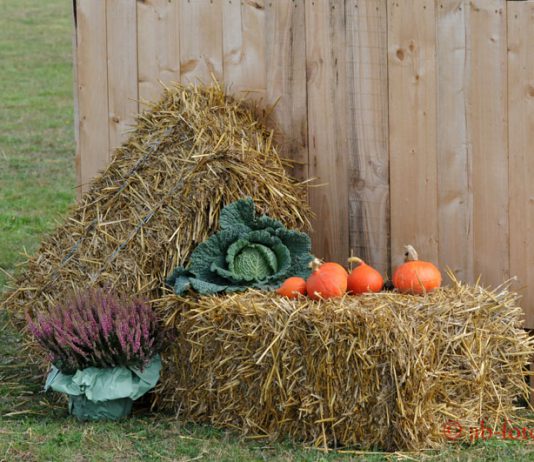 Urlaubszeit – Geschäftsstelle diese Woche nicht besetzt