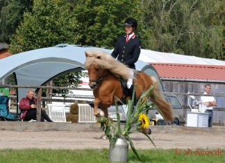 Ausschreibung und Unterkunftsnachweis für die Vereinsmeisterschaft online!