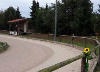 Danke an Christiane Quandt und das Team vom Gestüt Norderheide!