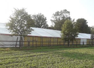 Das Boxenzelt steht!