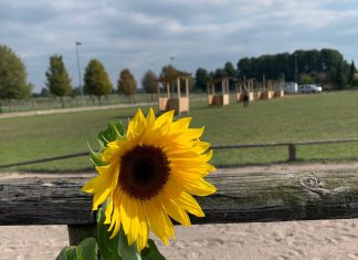 Wir wünschen eine gute Anreise!