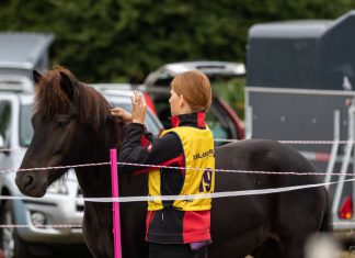 Ausschreibung zum Laxnes-Distance-Ritt 2022 – Ritt Nr. 2 in 23813 Blunk
