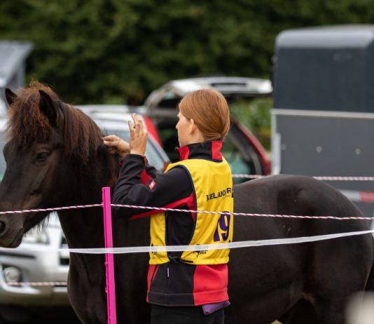 Ausschreibung zum Laxnes-Distance-Ritt 2022 – Ritt Nr. 2 in 23813 Blunk