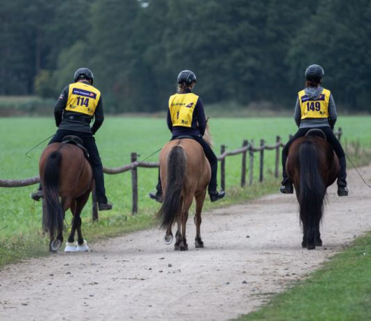 Ausschreibung zum ersten Laxnes-Distance-Ritt 2022 online!