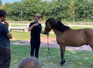 Søren Madsen kommt für interessierte FIZO Reiter – 1.Termin auf Islandpferdehof Blumencron