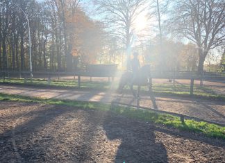 Tolles Sportkader – Herbsttraining mit Magnús Skúlason