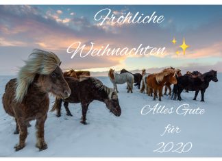 Wir wünschen wunderschöne Festtage – Geschäftsstelle geht in die Winterpause