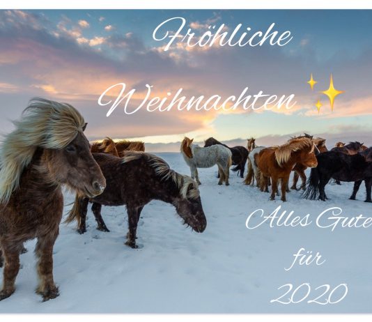 Wir wünschen wunderschöne Festtage – Geschäftsstelle geht in die Winterpause