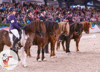 ISIBLESS INDOORS powered by Equsana – Zeitplan und Starterlisten sind online!