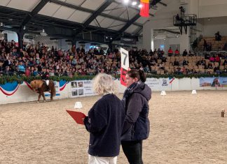 IPZV Nord INDOORS Neumünster – Countdown läuft – Starterliste online – Sonntag Tickets für „nur“ Turnierbesucher verfügbar