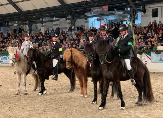 IPZV Nord Indoors – Einladung & Ausschreibung – Nennung aktiv