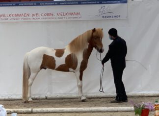 FIZO Kronshof – tolle Materialprüfung – Corona-Auflagen konnten umgesetzt werden!