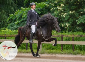 Qualitag Sport auf Godemoor